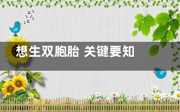 想生双胞胎 关键要知道这些事